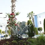 公寓式酒店 Papaya