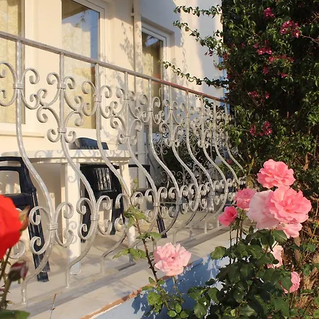 Апарт-отель Papaya