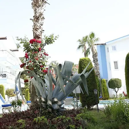 Апарт-отель Papaya