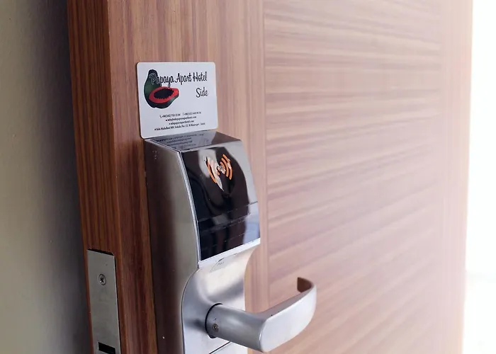 アパートホテル Papaya