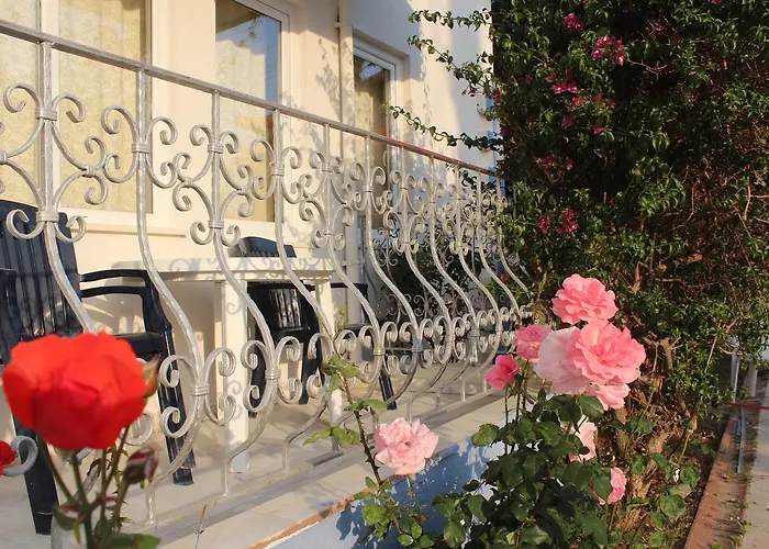 アパートホテル Papaya